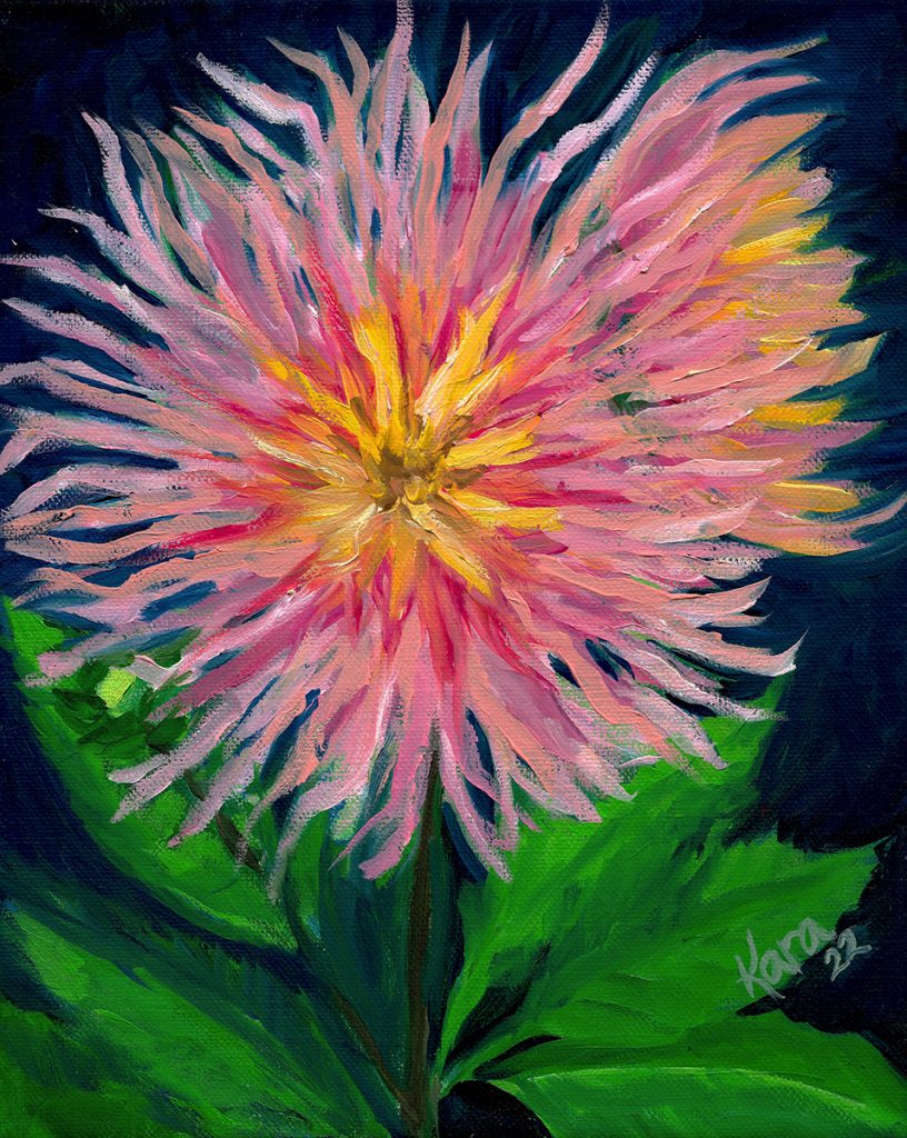 Cactus Dahlia