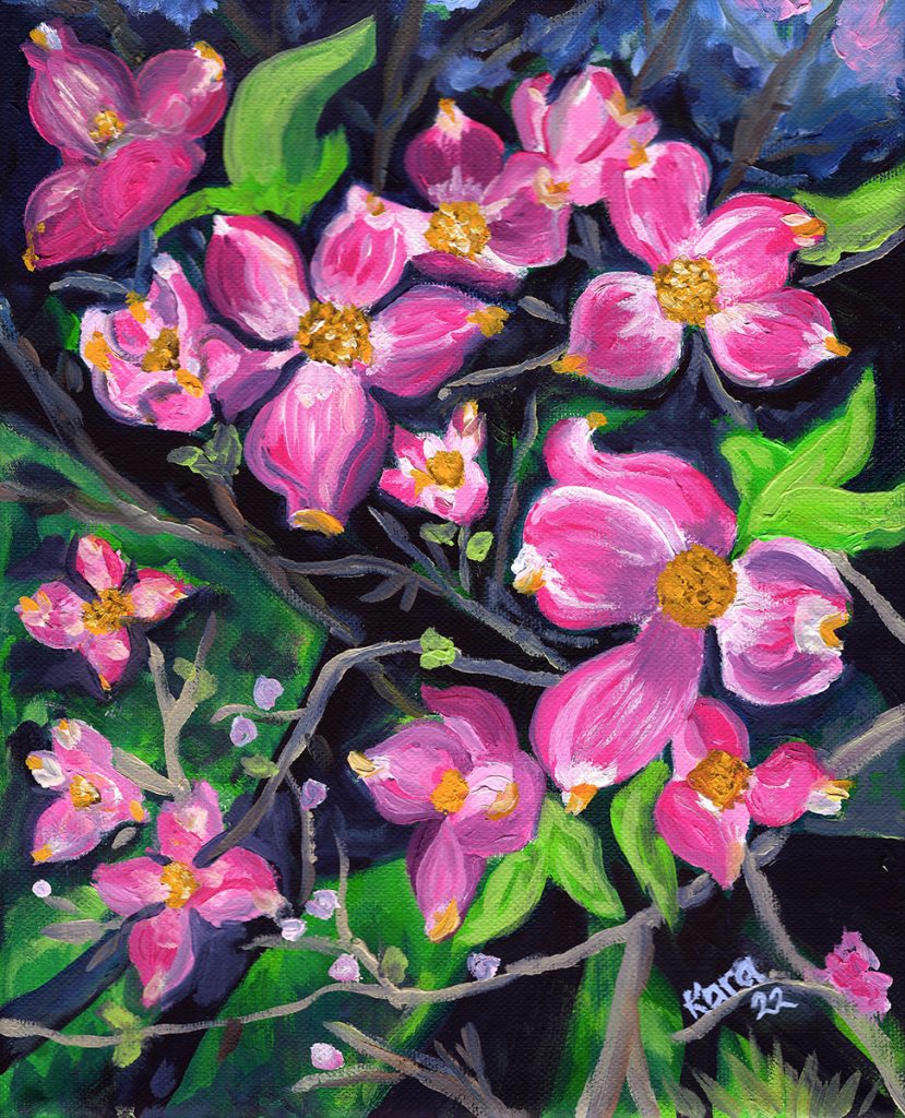 Pink Dogwoods