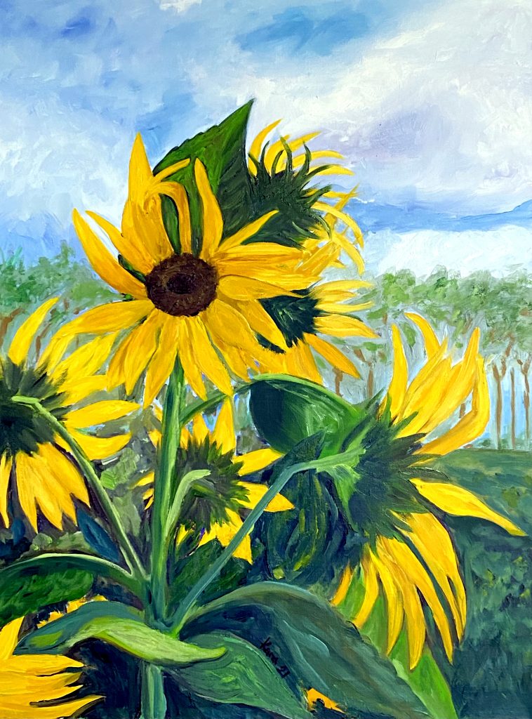 Backyard Sunflowers