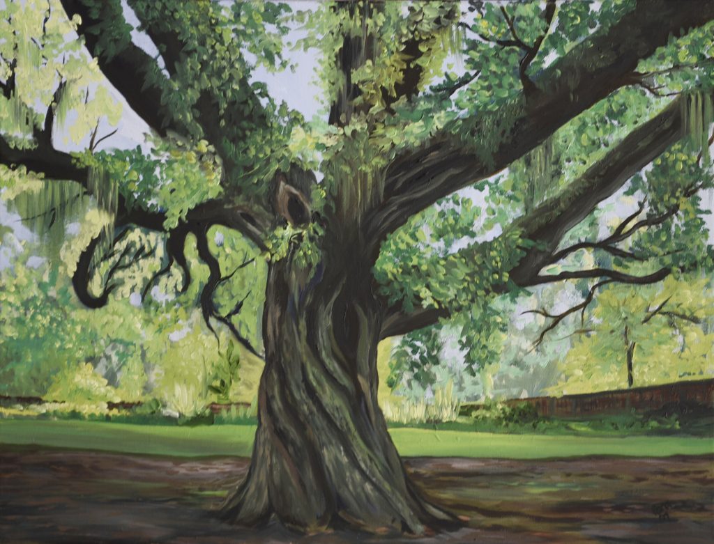 dreaming tree