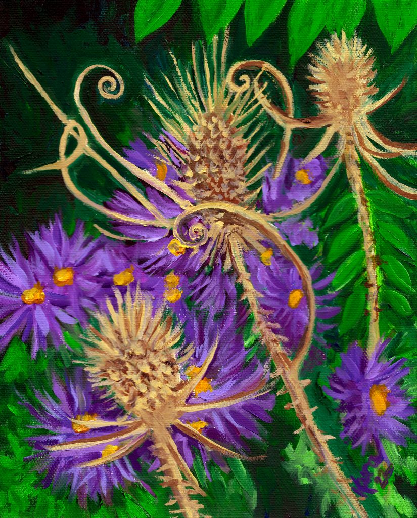 Wooded paths and Wild Teasel